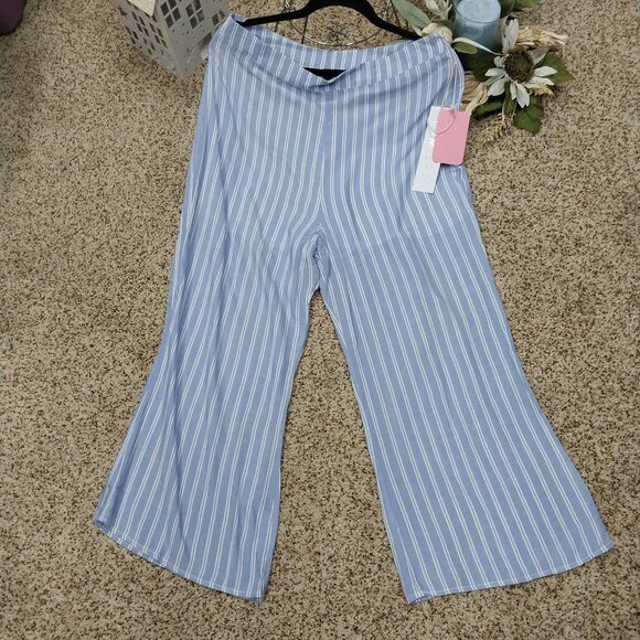 Lumiere Pants - 3526 Size Large Lumiere Blue Stripe Pants with Side Zipper and Shorts Lining.NWT